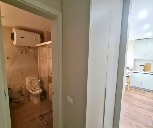 Tirane, jap me qera apartament 1+1 Kati 4, 70 m² 450 € 