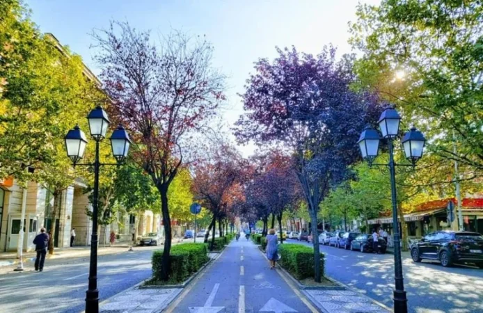 Tirane, jepet me qera zyre Kati 0, 70 m² 700 € (rruga e bogdaneve)