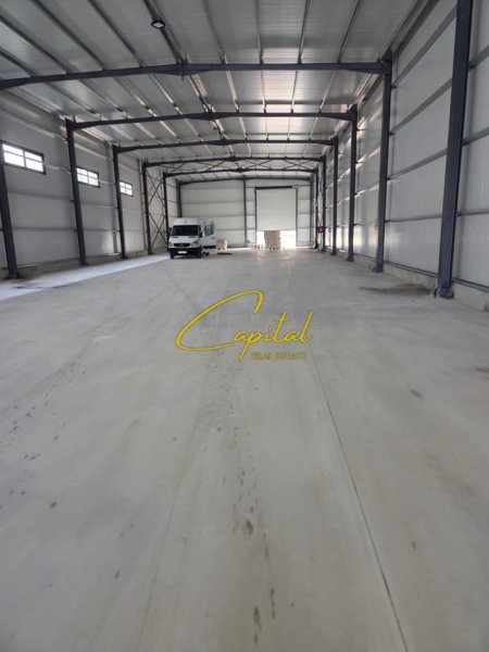 WhatsApp Image 2026-01-15 at 4.22.25 PM.jpeg