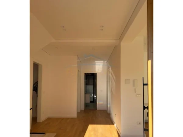 Tirane, jepet me qera Vile Kati 0, 300 m² 3.000 € 