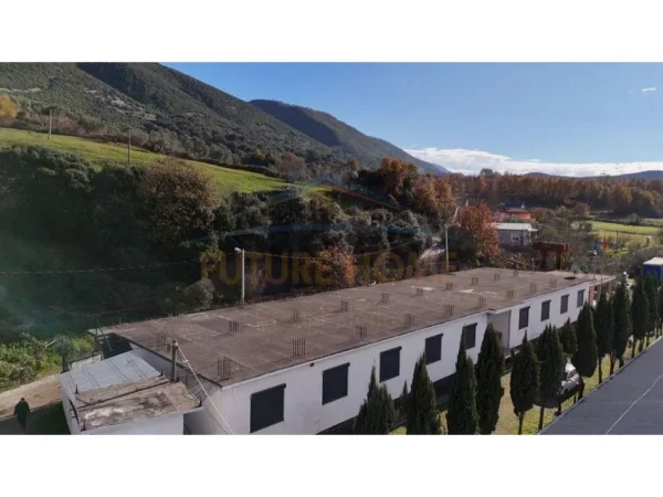 Tirane, jepet me qera Kati 1, 557 m² 2.500 €