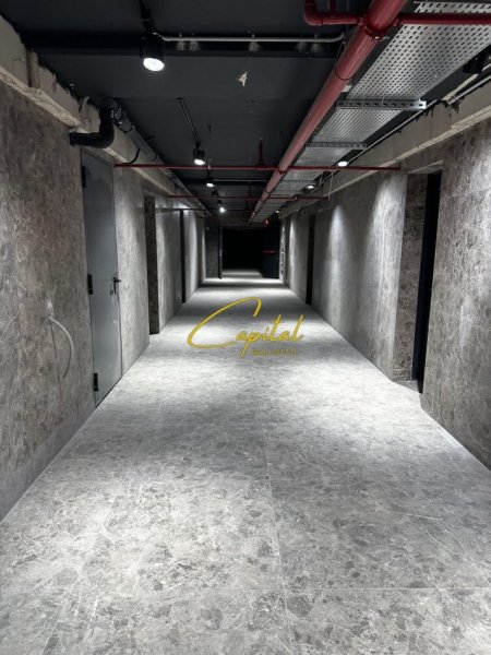 WhatsApp Image 2026-01-16 at 12.49.00 PM.jpeg