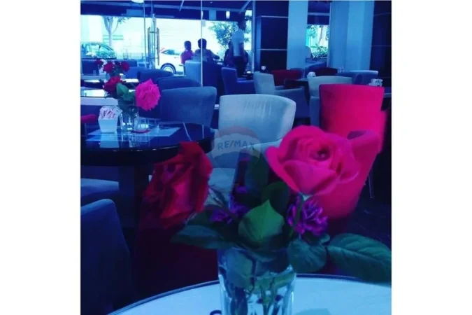 Tirane, shitet bar-kafe , 64 m² 230.000 € (Rruga Bardhyl, Tiranë(ID: 530381017-23)