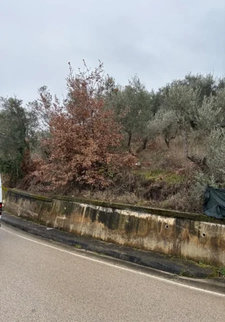 Tirane, shitet truall , 1.700 m² 620.000 € (Sauk i Vjeter)