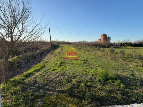 Vlore, shitet toke , 6.000 m² 50.000 € (Novoselë)