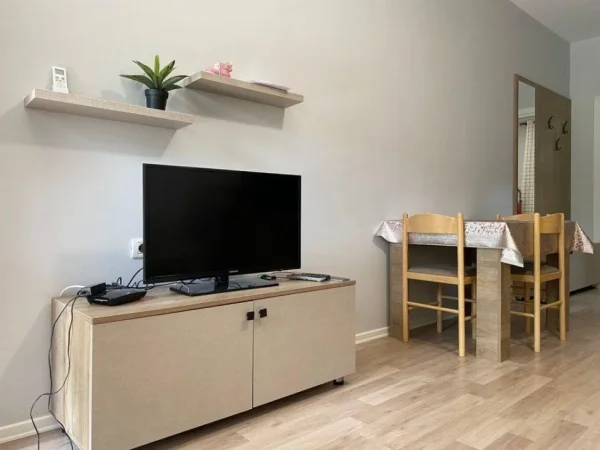 Tirane, jepet me qera apartament 1+1 Kati 1, 60 m² 350 € (Sauk prane rrethit)