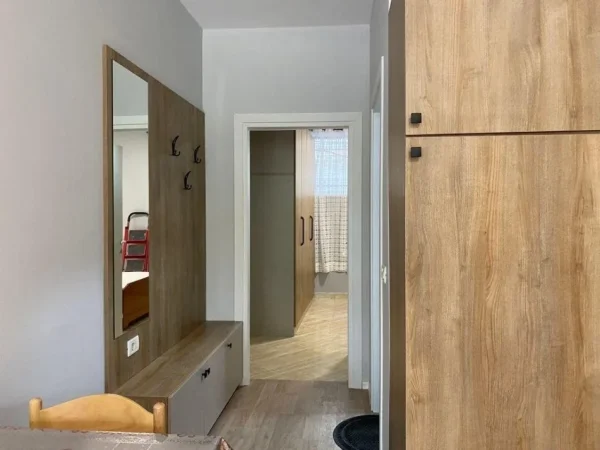 Tirane, jepet me qera apartament 1+1 Kati 1, 60 m² 350 € (Sauk prane rrethit)