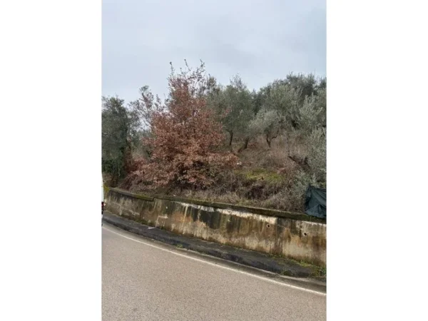 Shqiperi, shitet ambjent biznesi , 620.000 € (Sauk i Vjeter)