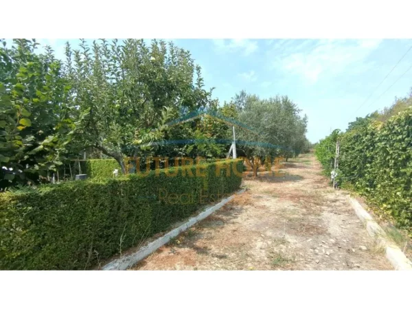 Durres, shitet truall , 20.000 m² 1.600.000 € 