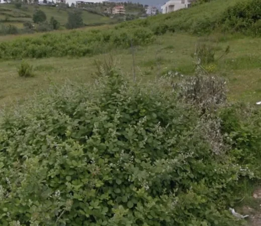 Tirane, shes truall , 800 m² 300.000 € (Mjull Bathore Tirane ALBANIA)