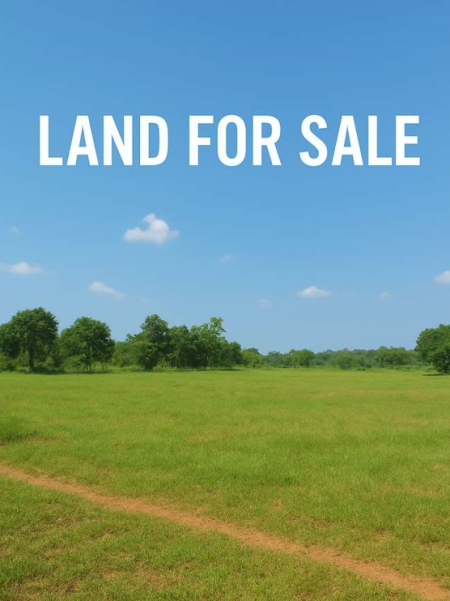 Durres, shes toke , 45.500 m² (Maminas)