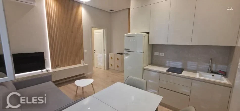 Tirane, jepet me qera apartament 1+1+Ballkon Kati 1, 55 m² 650 € (RRUGA E DIBRES)