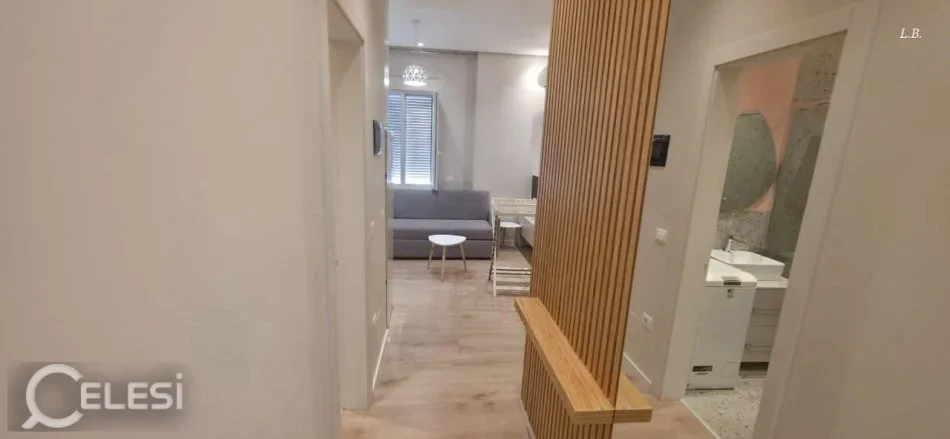 Tirane, jepet me qera apartament 1+1+Ballkon Kati 1, 55 m² 650 € (RRUGA E DIBRES)