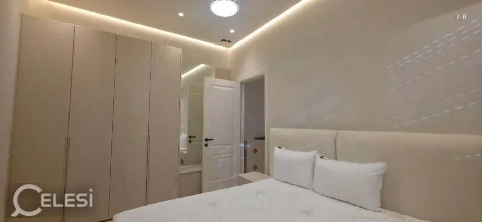 Tirane, jepet me qera apartament 1+1+Ballkon Kati 1, 55 m² 650 € (RRUGA E DIBRES)