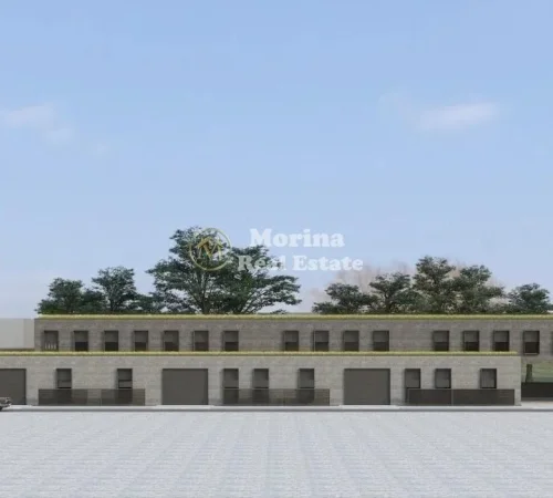 Tirane, jepet me qera magazine Kati 2, 2.500 m² 8.000 € (Kamez)