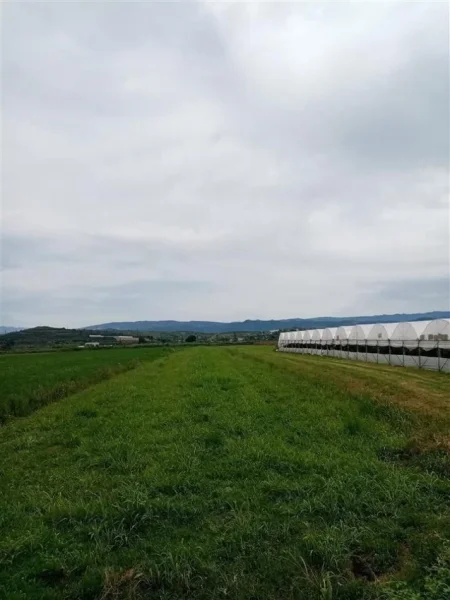 SHITET TOKA KUCOVE (KOZARE) - 3700 m2