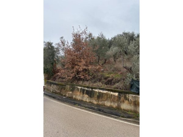 Tirane, shes toke , 1.700 m² 620.000 € (Rruga e Ullishtes)