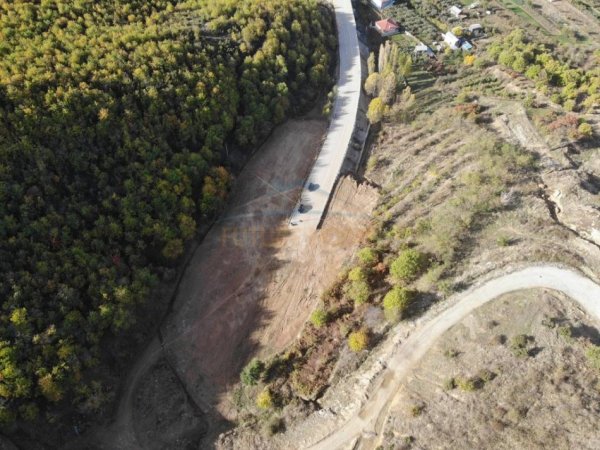 Pogradec, shitet toke bujqesore , 6.600 m² (Gështenjas, Pogradec)