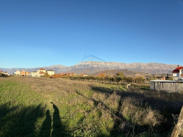 Pogradec, shitet toke bujqesore , 3.616 m² (Bucimas)