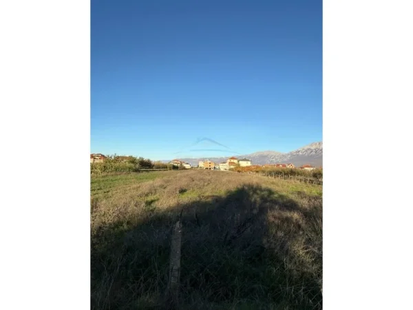 Pogradec, shitet toke bujqesore , 3.616 m² (Bucimas)