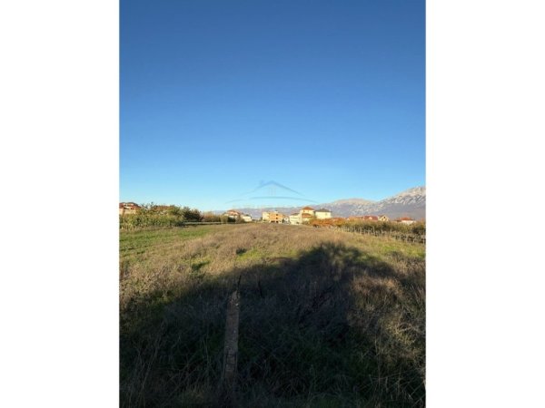 Pogradec, shitet toke bujqesore , 3.616 m² (Bucimas)