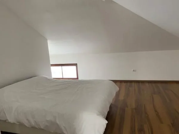 Tirane, jap me qera Vile 2.500 Euro (Sauk)