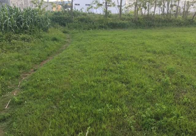 Shqiperi, shes toke 8.160 m² 163.200 Euro