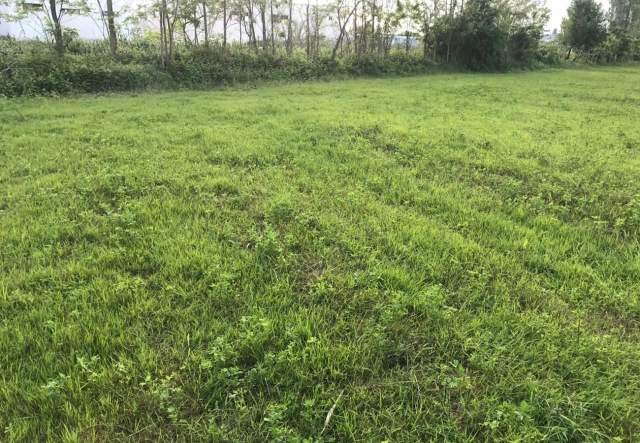 Shqiperi, shes toke 8.160 m² 163.200 Euro