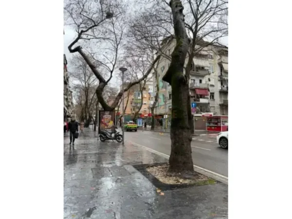 Tirane, jepet me qera ambjent biznesi Kati 0, 50 m² 2.200 € (MYSLYM SHYRI)