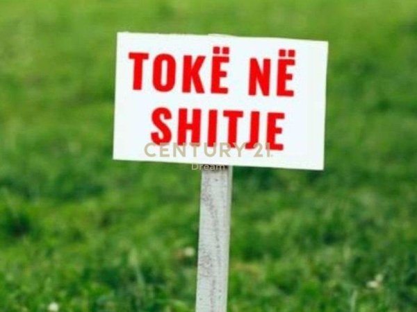 OKAZION !!! Tirane, shitet toke , 4.976 m² 390.000 € (Buze rruge ne Berxulle)