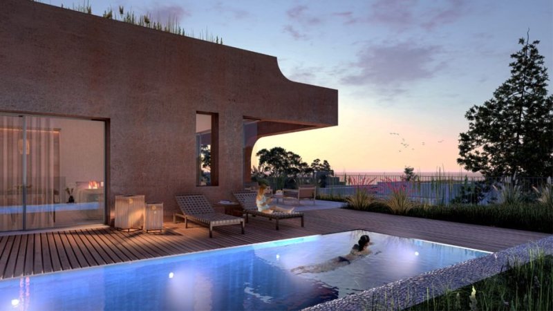 WhatsApp Image 2026-01-20 at 16.06.41.jpeg