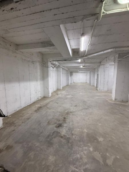 WhatsApp Image 2026-01-20 at 12.29.26 PM.jpeg