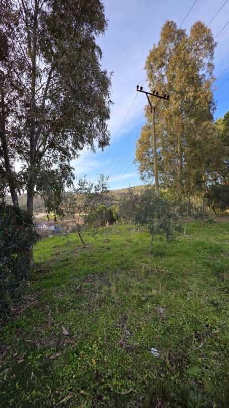 Lushnje, shitet bar-resorant Kati 0, 3.340 m² 220.000 € 