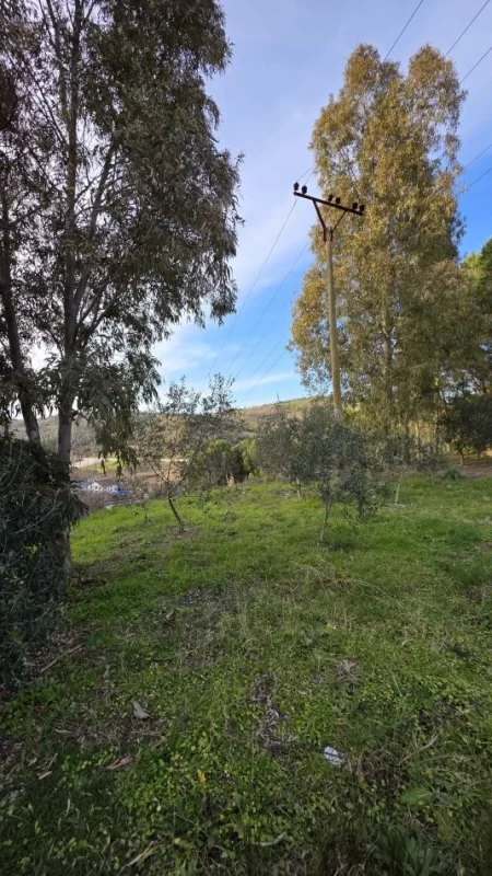 Lushnje, shitet bar-resorant Kati 0, 3.340 m² 220.000 € 