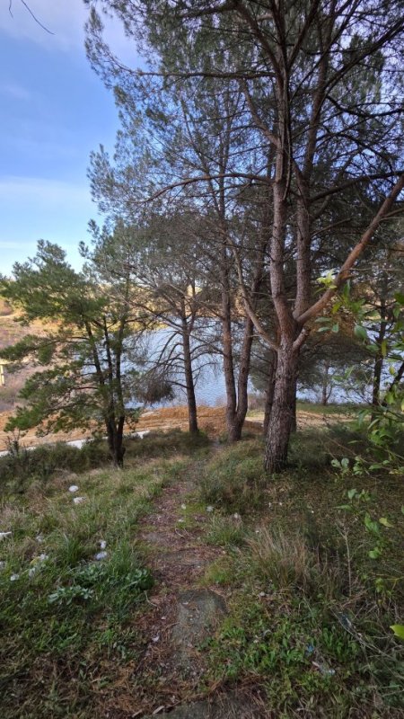 Lushnje, shitet bar-resorant Kati 0, 3.340 m² 220.000 € 