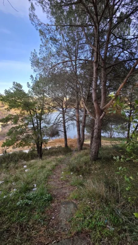 Lushnje, shitet bar-resorant Kati 0, 3.340 m² 220.000 € 