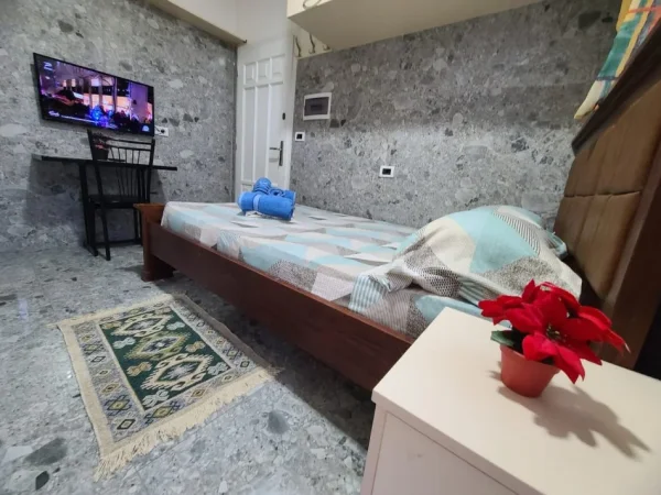 Tirane, jepet me qera apartament 1+1 , 32 m² 320 € (bulevardi i ri)