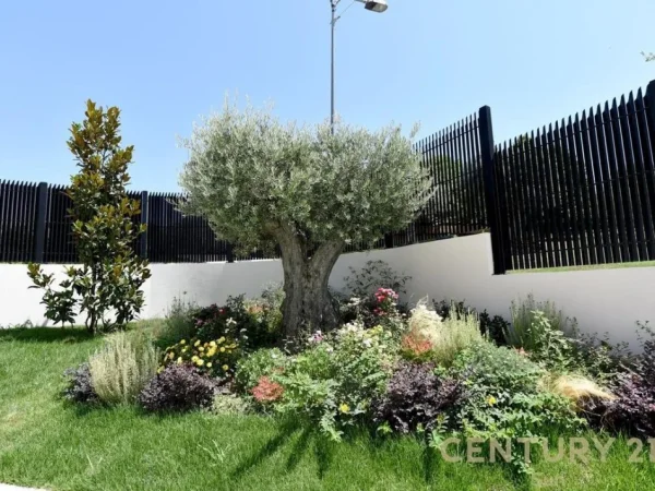 Tirane, jepet me qera Vile 2 Katshe Kati 2, 1.500 m² 