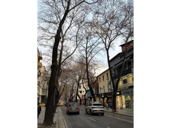 Tirane, shitet ambjent biznesi Kati 0, 199 m² (Myslym Shyri, Tirane)