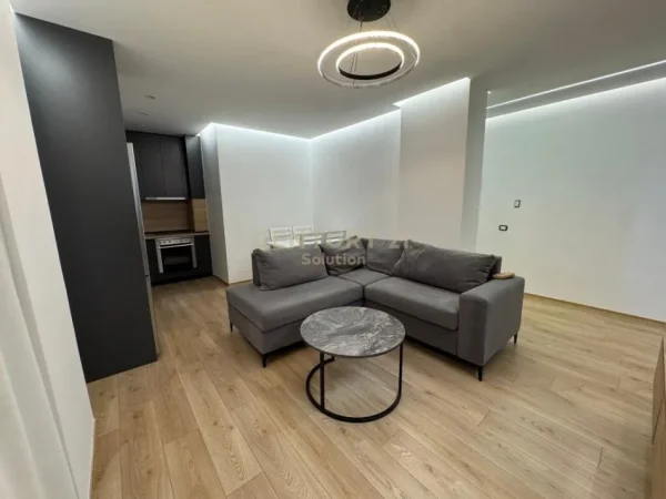 Tirane, jepet me qera apartament 2+1 , 75 m² 520 € (Rruga David Selenica)