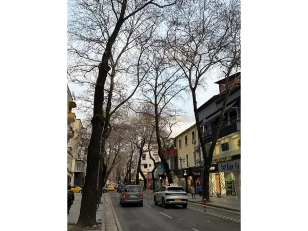 Tirane, shitet ambjent biznesi Kati 0, 199 m² 1.200.000 € (Myslym Shyri)