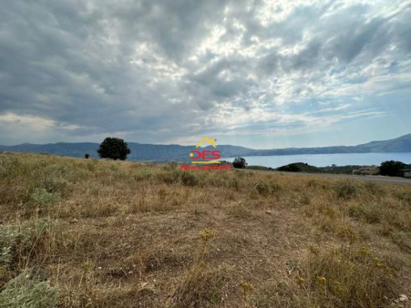 Vlore, shes toke bujqesore 4.000 m² 60 Euro/m2 (Radhim,Bypass)