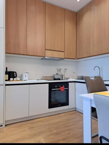 Tirane, jepet me qera apartament 1+1 Kati 2, 65 m² 550 € (KINOSTUDIO)