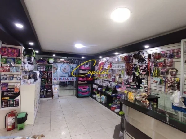 Tirane, jepet me qera ambjent biznesi Kati 0, 70 m² 1.000 € (YZBERISHT)