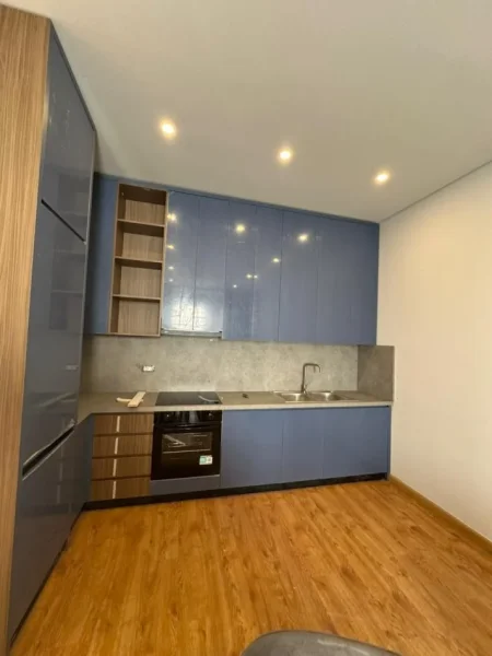 Tirane, jepet me qera apartament 1+1 Kati 2, 70 m² 750 € (Vasil Shanto)