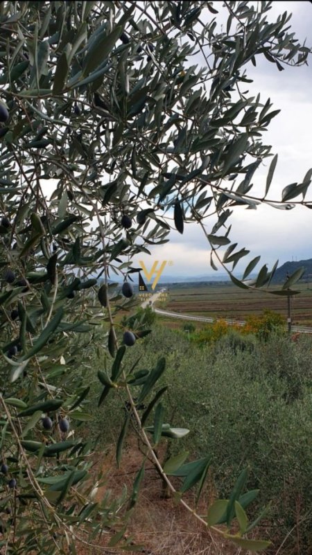 Tirane, shitet toke , 2.500 m² 75.000 € (RROGOZHINE)