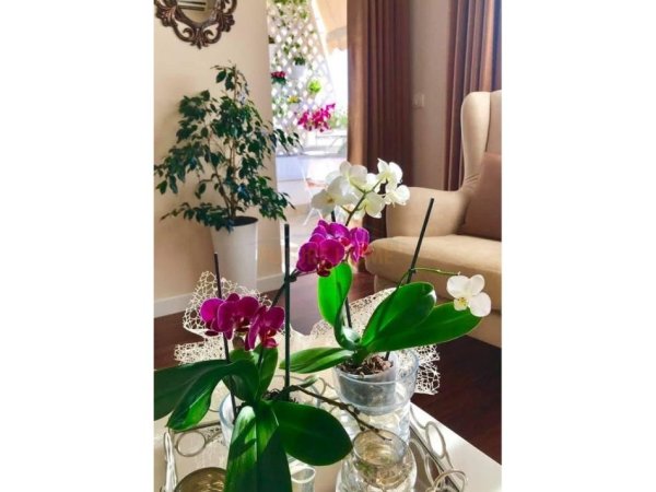 Durres, jepet me qera apartament 2+1+Ballkon Kati 7, 74 m² 800 € 