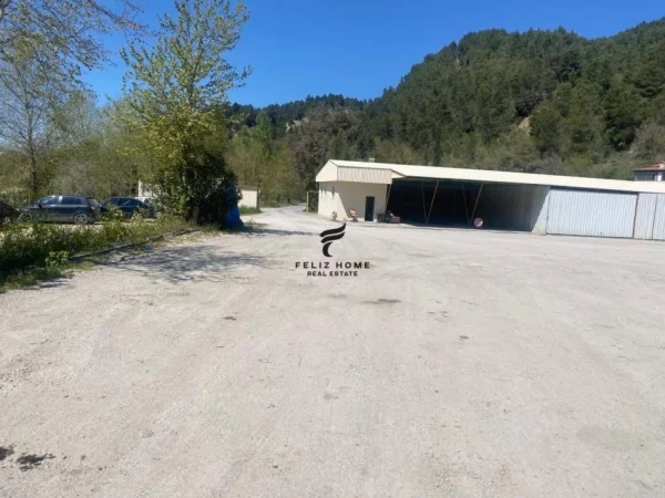 Tirane, jepet me qera ambjent biznesi Kati 0, 10.000 m² 10.000 € (MULLET)