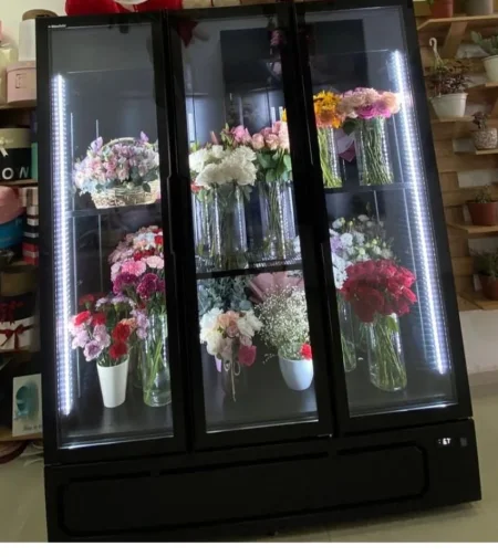 Tirane, Shitet Frigorifer Freskues marka Klima Italia