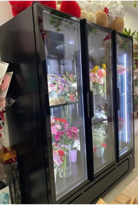 Tirane, Shitet Frigorifer Freskues marka Klima Italia